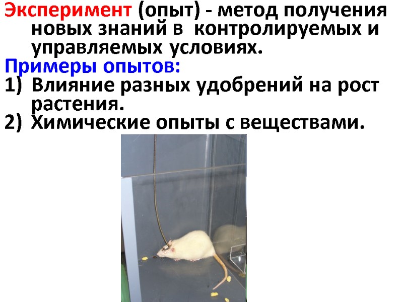 Эксперимент (опыт) - метод получения новых знаний в  контролируемых и управляемых условиях. Примеры